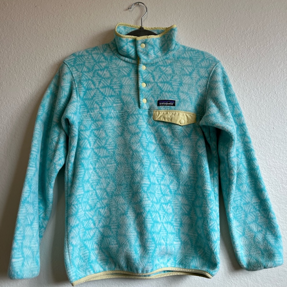 Patagonia Synchilla Sweater